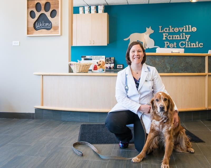 New Clients | Lakeville Family Pet Clinic in Lakeville MN