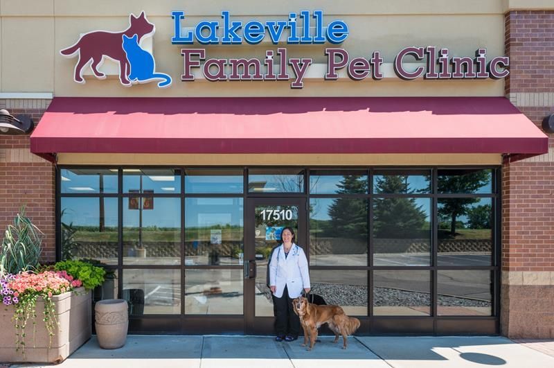 About Lakeville Family Pet Clinic | Vet in Lakeville MN