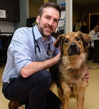 Dog and veterinarian at Animal Cancer Care Specialists