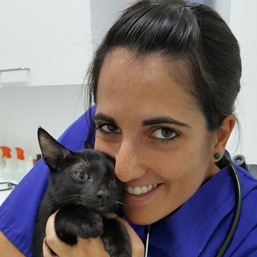 Sara Muñoz Declara