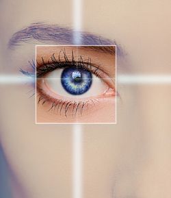 focused eye