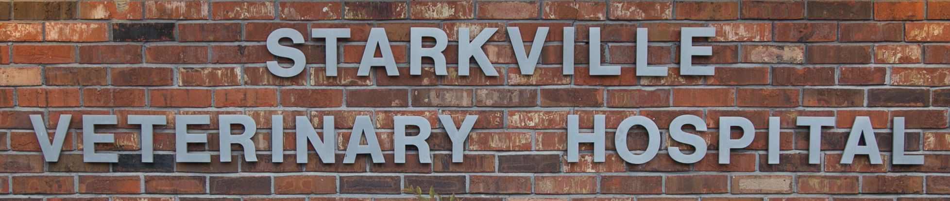 Starkville Veterinary Hospital