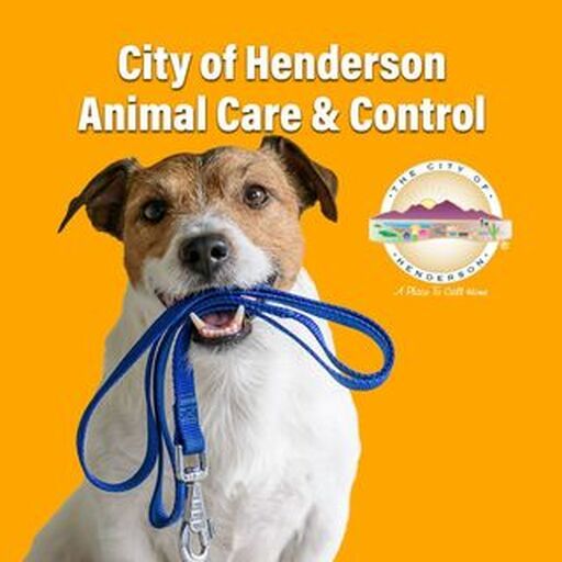 Henderson Animal Shelter