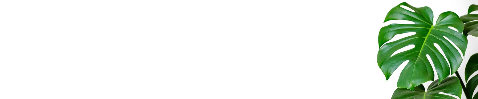 About Our Practice | Greenville EyeCare Associates | Greenville