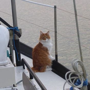 Somebody has to keep an anchor watch!