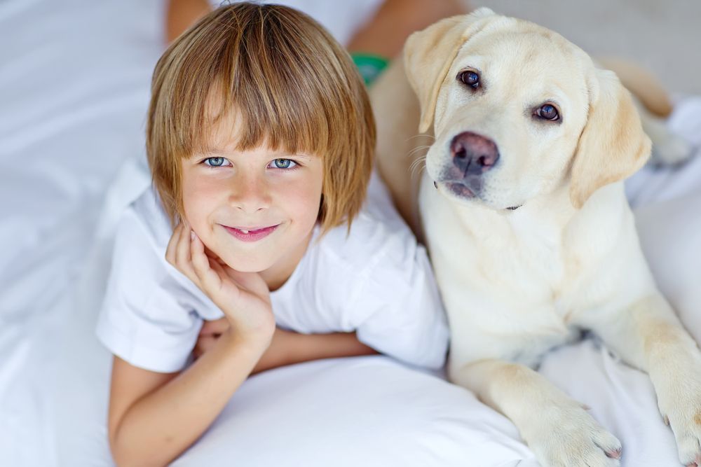 dog with pet owner