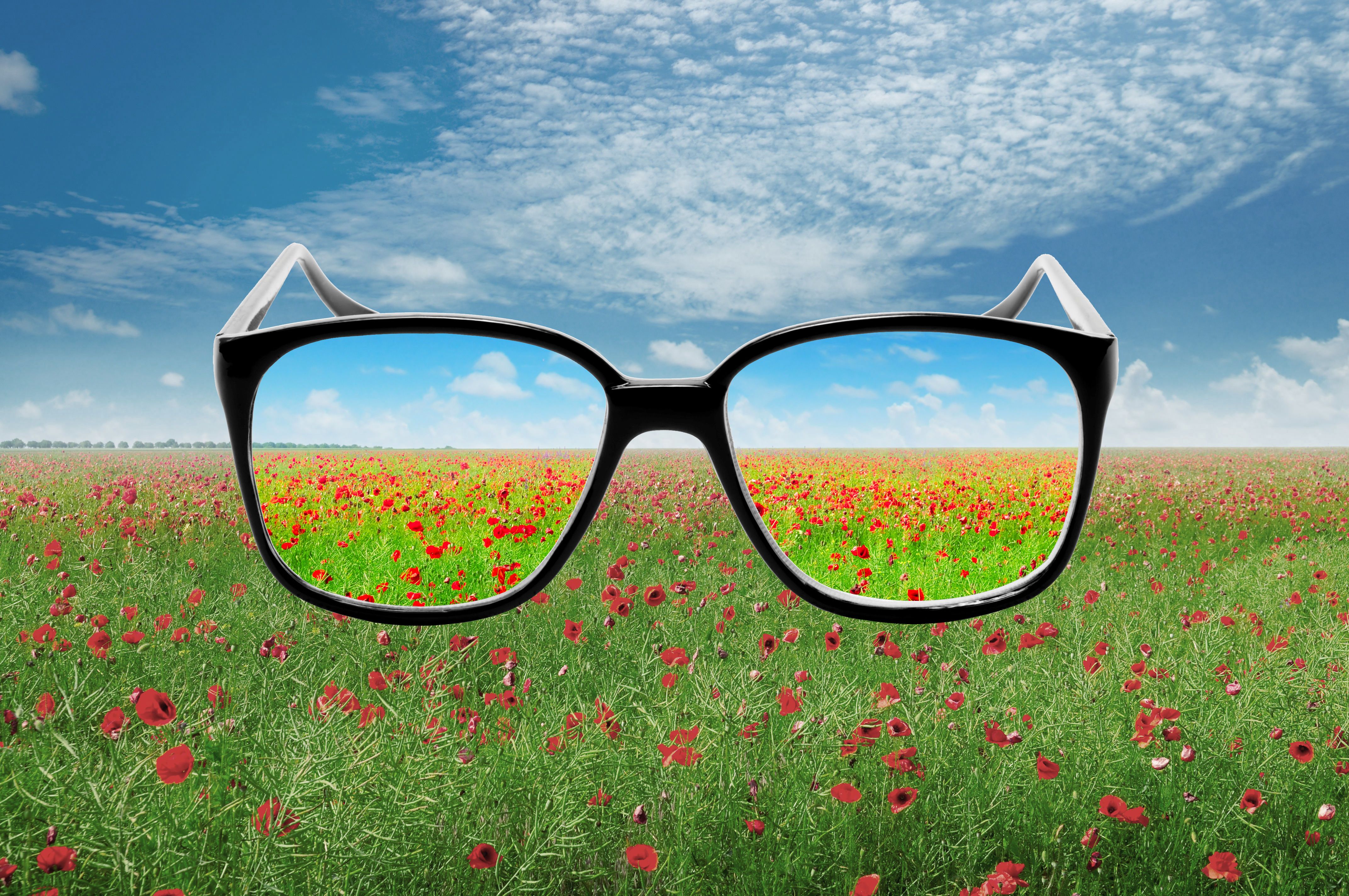 Products for RX Labs Vision Dynamics Lab Optical Lab in Louisville