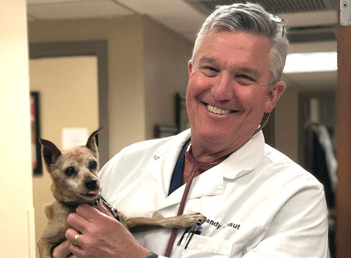 Veterinarians in Friendswood TX | Valley Veterinary Care Veterinarians in Friendswood TX | Valley Veterinary Care