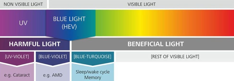 blue light spectrum