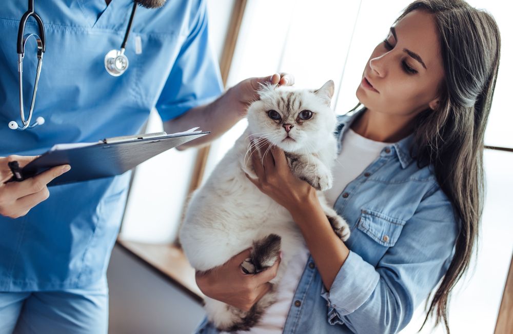 Preparing for a Pet Asthma Emergency