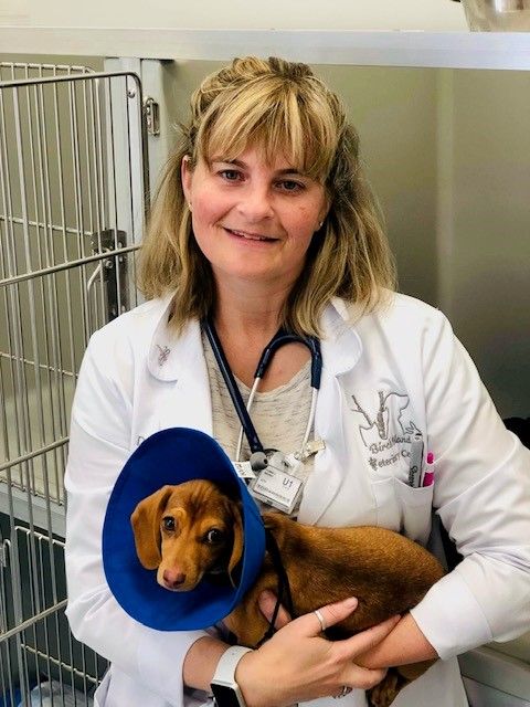 Pet Wellness Programs - Low-Cost Pet Vaccines Jacksonville FL