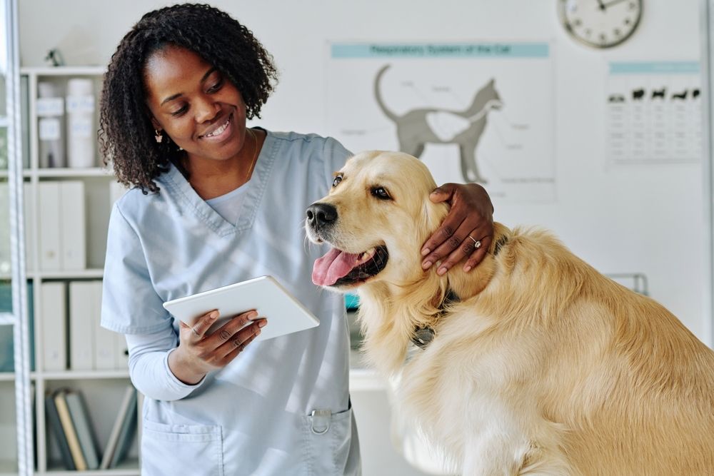 Good veterinarian sales
