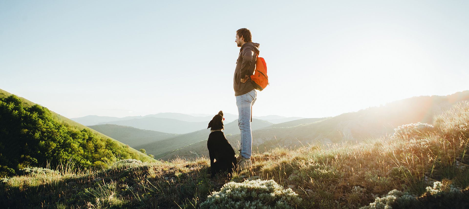 Man and dog on the mountain