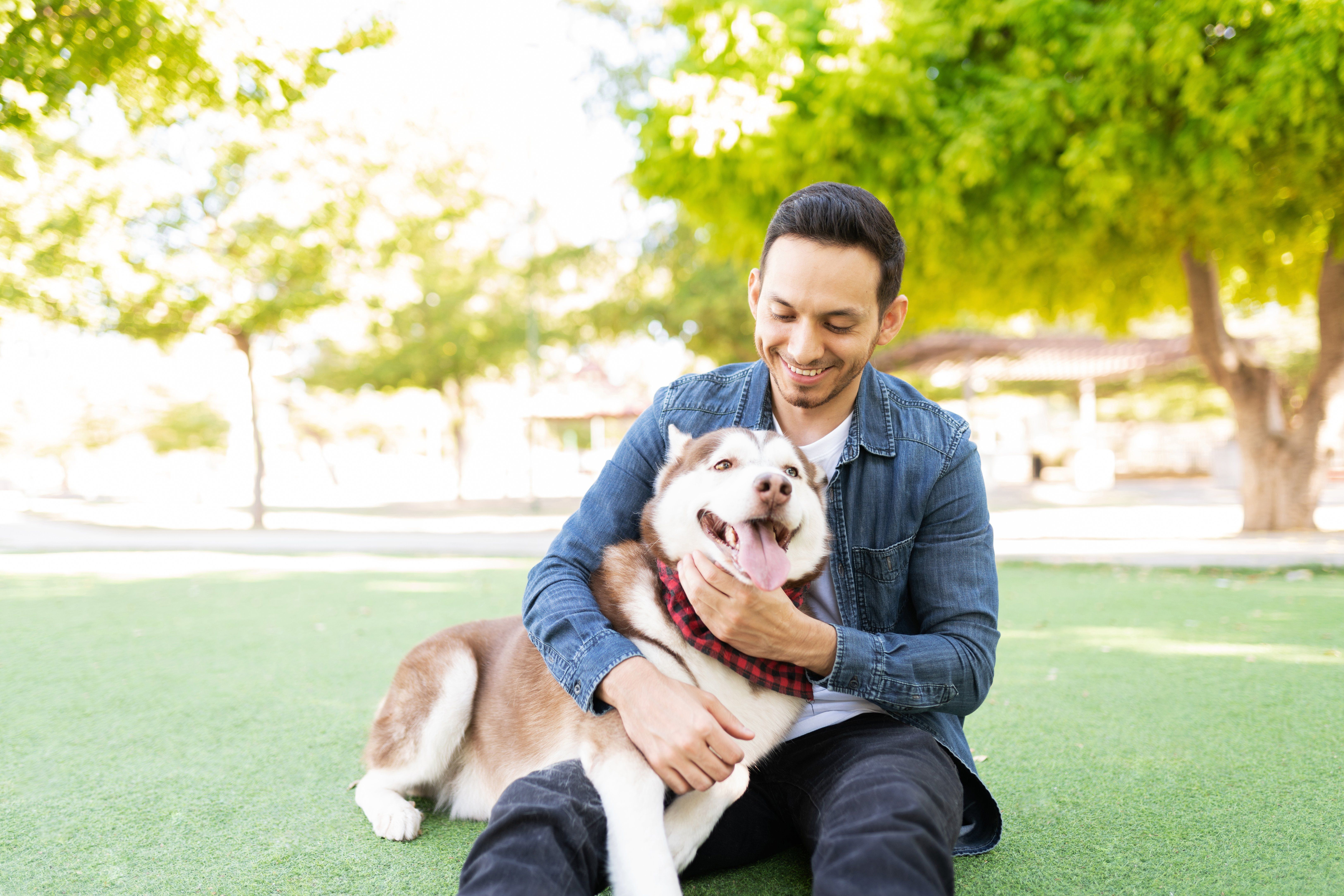 Pet-friendly Activities to Do in Mountain View, California Year-round