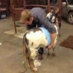 brekke holding an animal