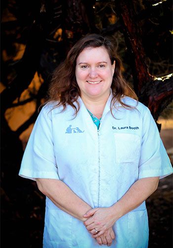 Dr. Laura Booth