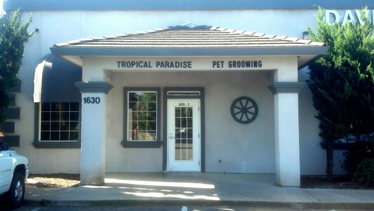 Tropical Paradise