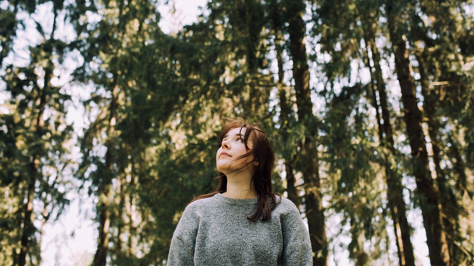 Psychiatrist in Albany Naseeha Psychiatry, PLLC