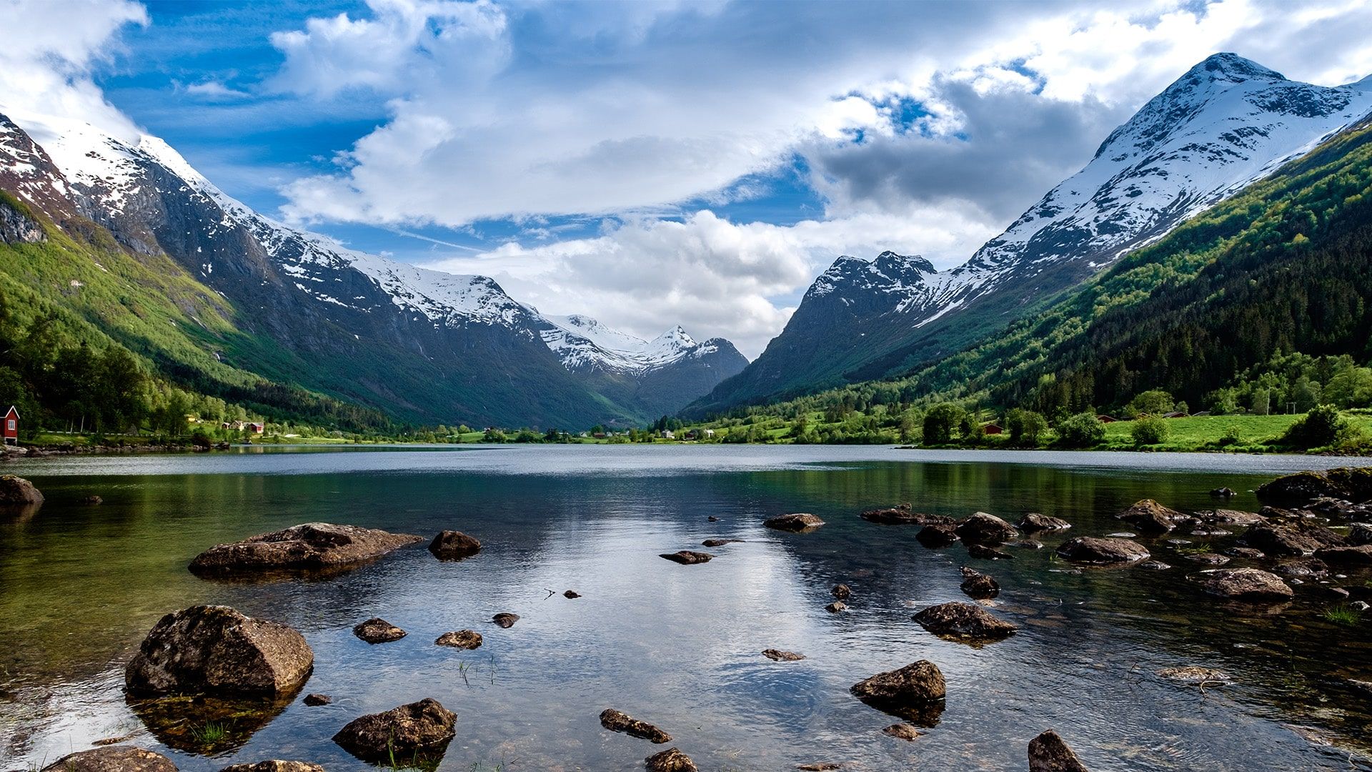 Psychiatrist in Albany Naseeha Psychiatry, PLLC