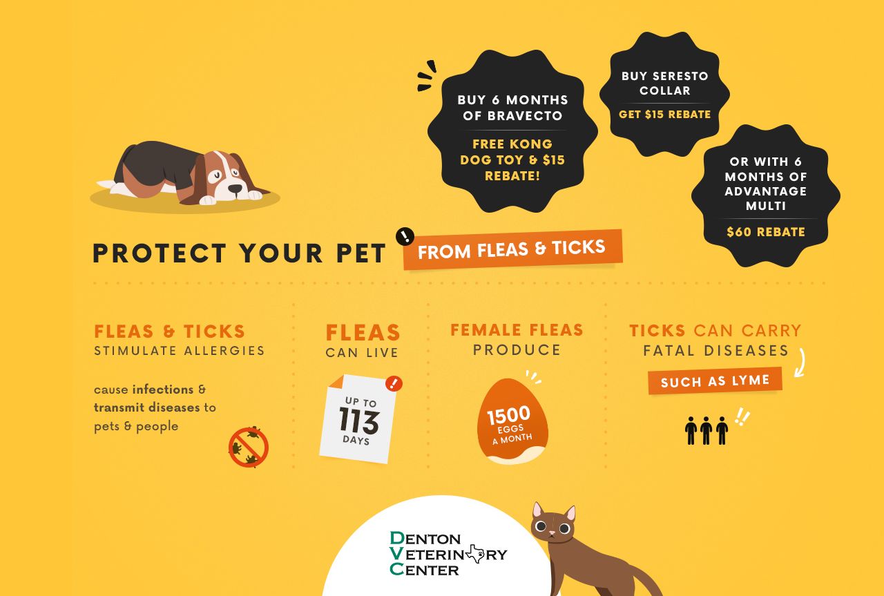 denton veterinary center veterinarian in denton tx and surrounding seresto 15 rebate form