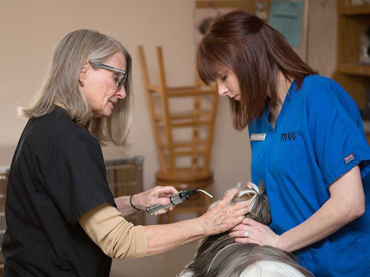 Murrayville Veterinary Clinic, Veterinarian in Murrayville, GA