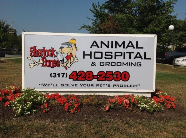 Sherlock Bones Animal Hospital