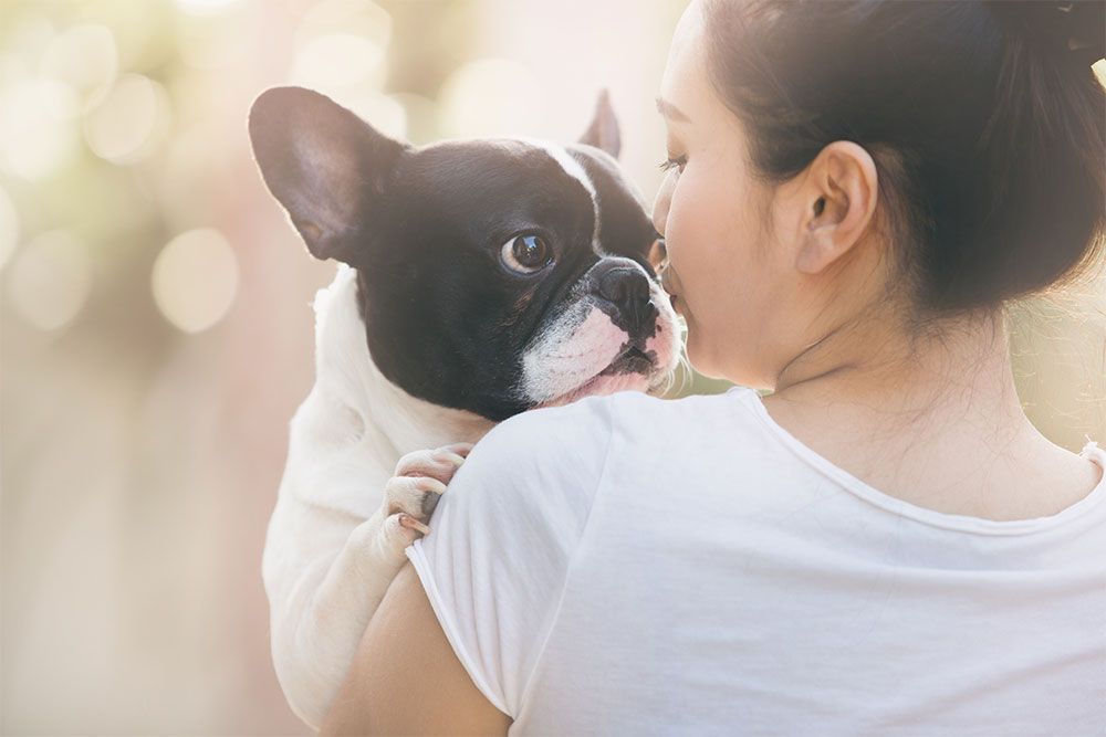 dog with owner