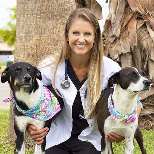 Veterinarian in Port Isabel TX | Kayla Lee, DVM