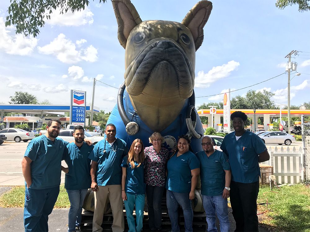 Miami Shores Animal Clinic team