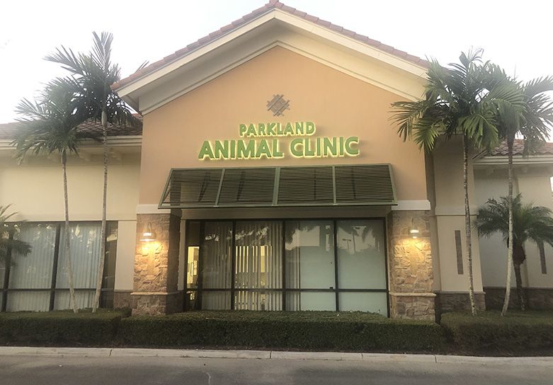 parkland animal clinic front desk