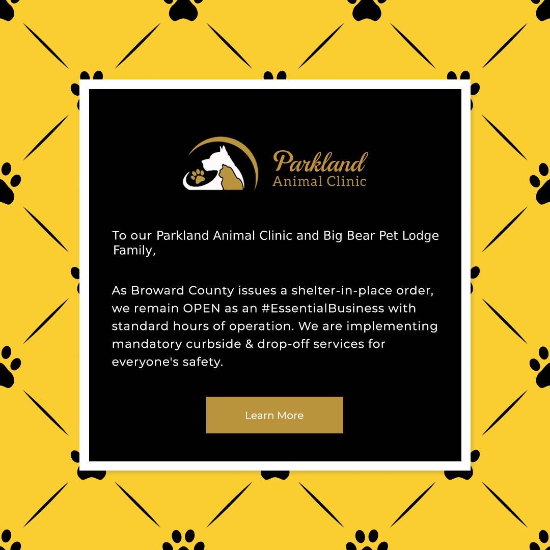 Parkland Animal Clinic, Parkland FL Veterinarian Parkland Animal Clinic, Parkland FL Veterinarian