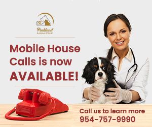 House Calls