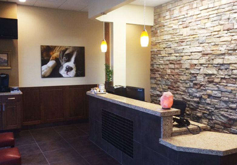 Parkland Animal Clinic, Parkland FL Veterinarian Parkland Animal Clinic, Parkland FL Veterinarian