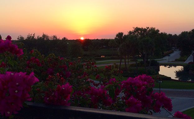 sunset