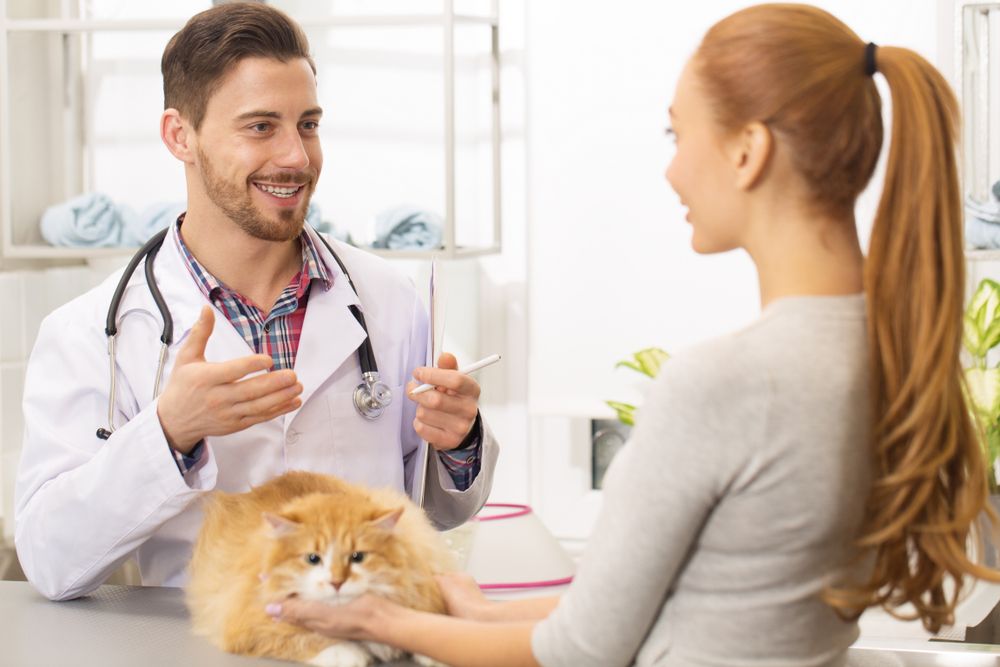 happy pet owner speaking with the vet