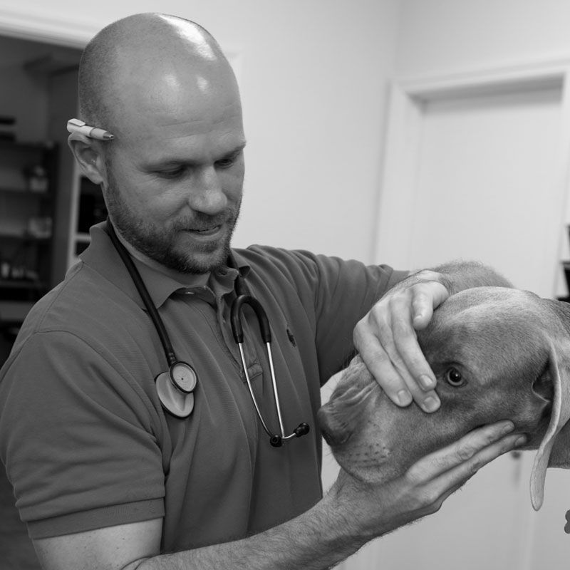 Dr. Wes Blount