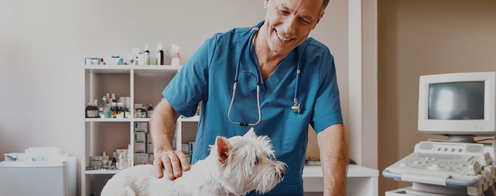 Southern Veterinary Partners - one of our hospital teammates amazing pets