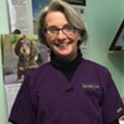 Dr. Jane White