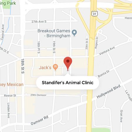 Pet Resources In Homewood Al By Standifer S Animal Clinic
