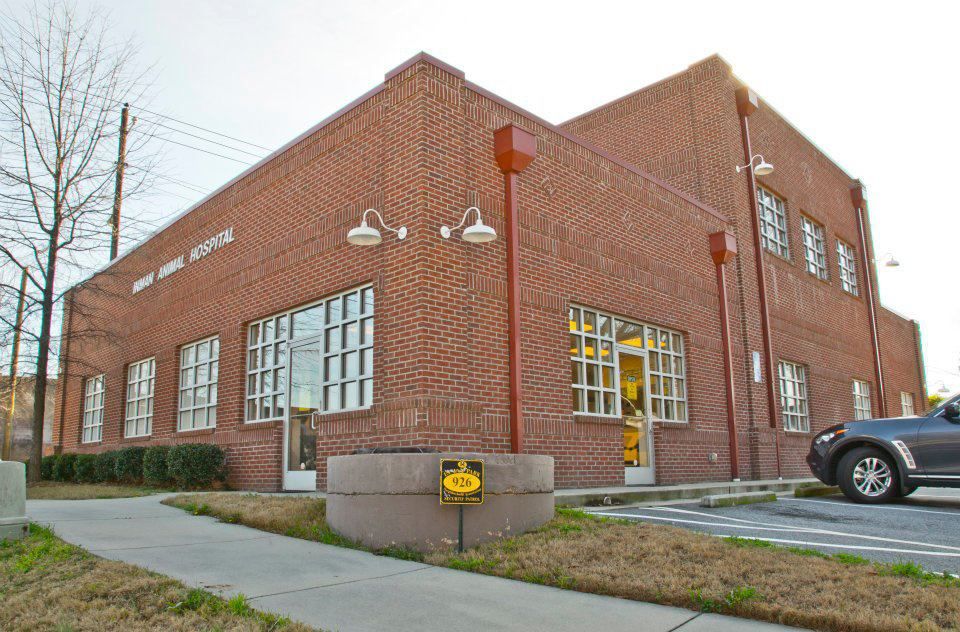 Driving Park Animal Hospital / Olmos Park Animal Hospital / It is our