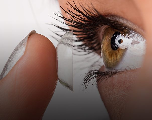Order Contacts