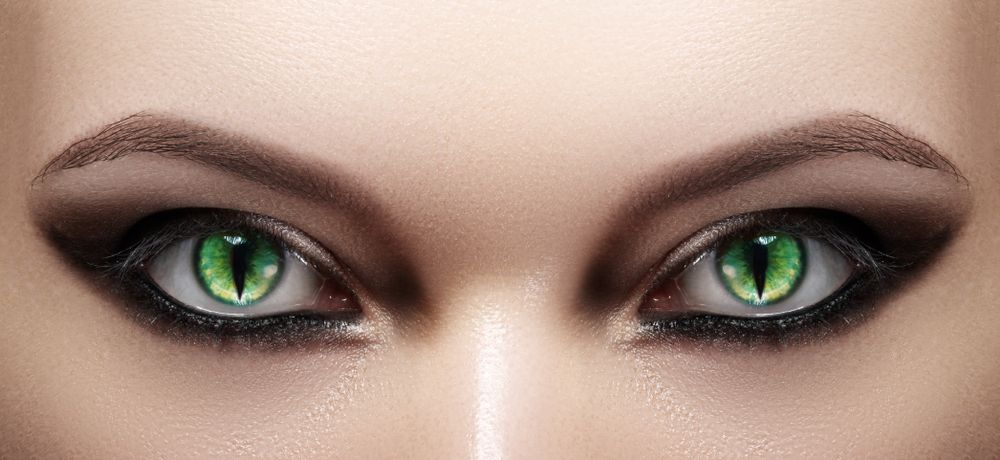 contact lenses