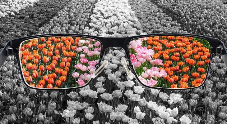 COLOR BLINDNESS