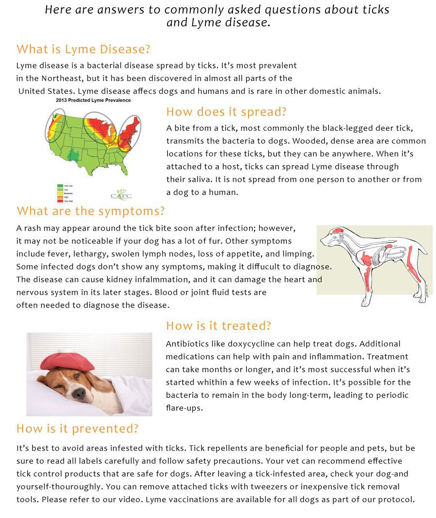Lyme Disease
