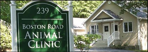 vets for pets sutton road