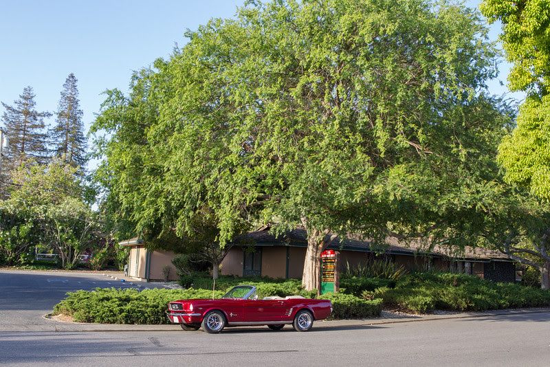 Office with Mustang