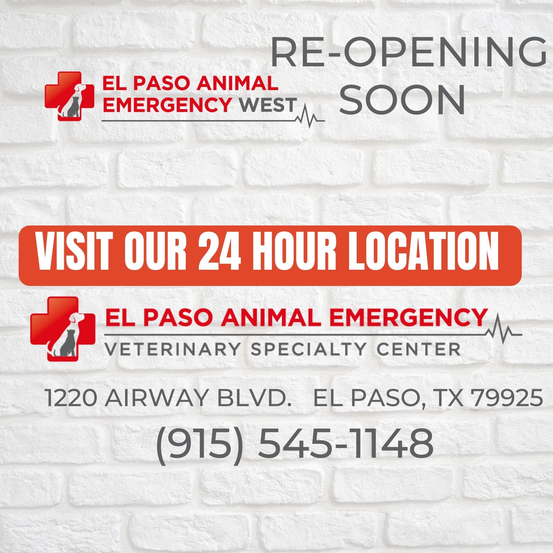 Emergency Vet in El Paso TX El Paso Animal Emergency