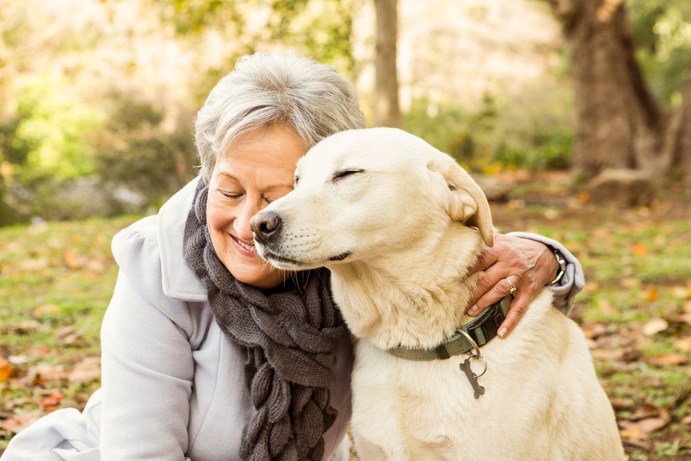 Understanding Hyperbaric Oxygen Therapy: A Breakthrough Treatment for Senior Pets