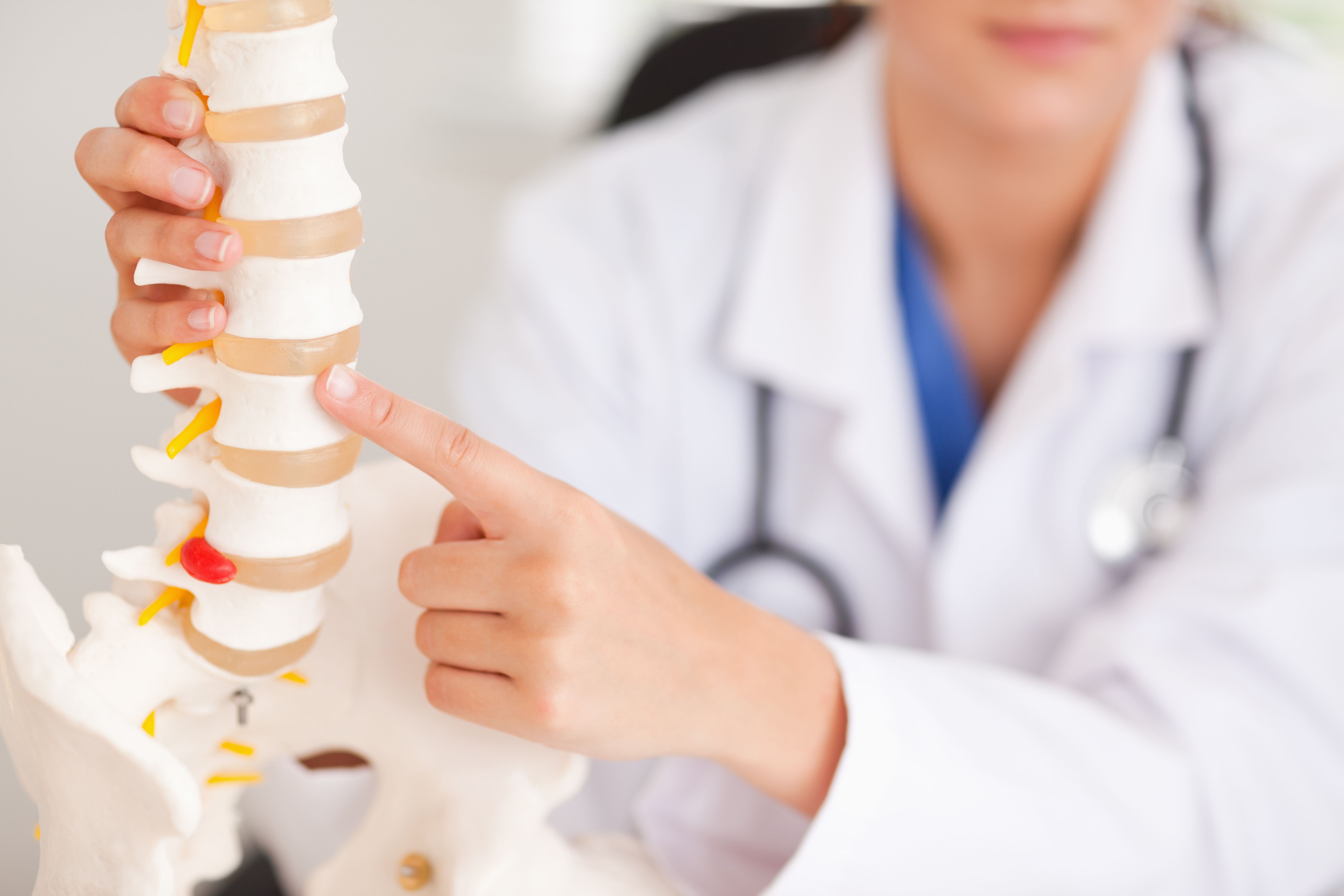 Chiropractics ProAdjuster Chiropractor in Gainesville FL Chiropractics ProAdjuster Chiropractor in Gainesville FL