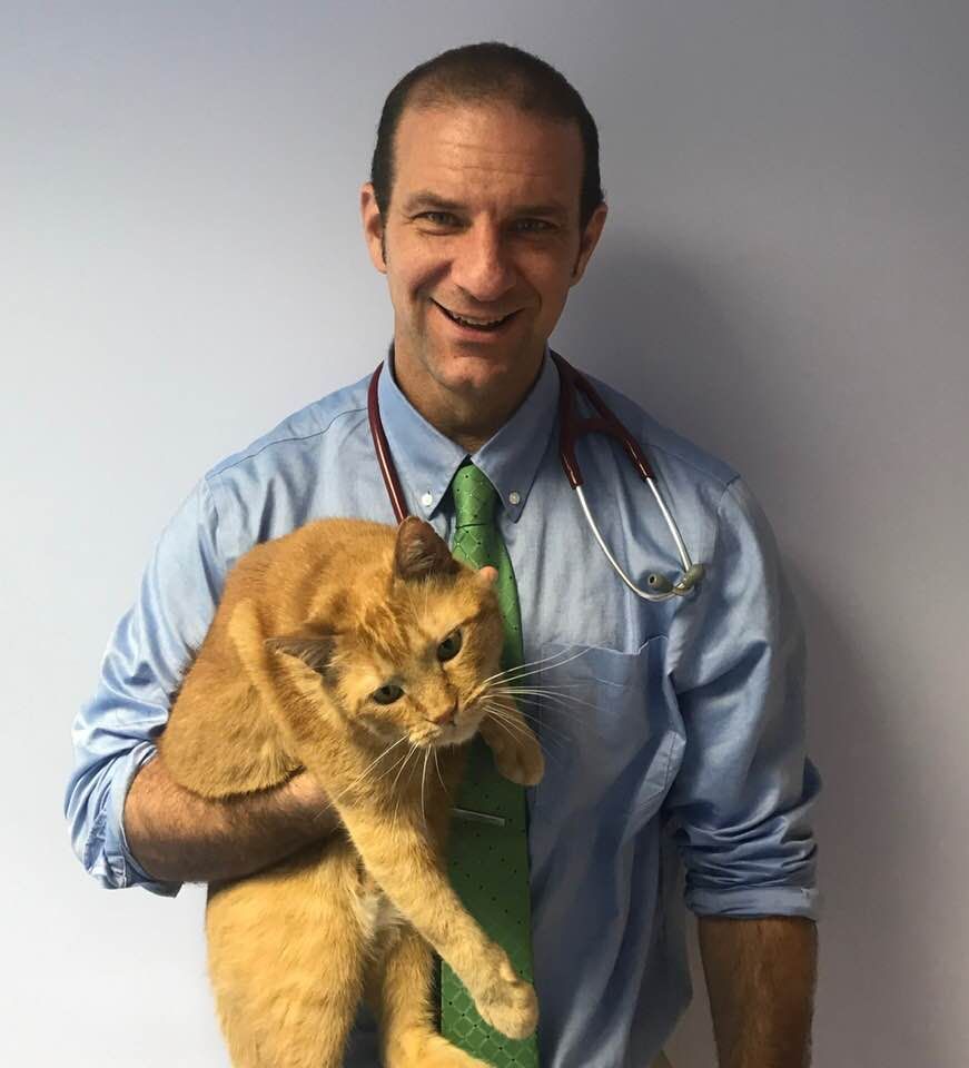 Meet Our Veterinarians in Virginia Beach VA | Beach Pet Hospital Meet Our Veterinarians in Virginia Beach VA | Beach Pet Hospital
